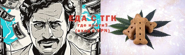 дживик Алапаевск