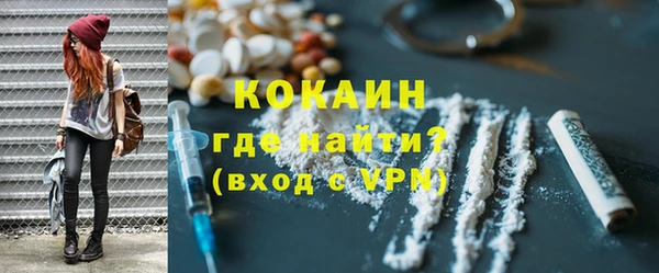 дживик Алапаевск