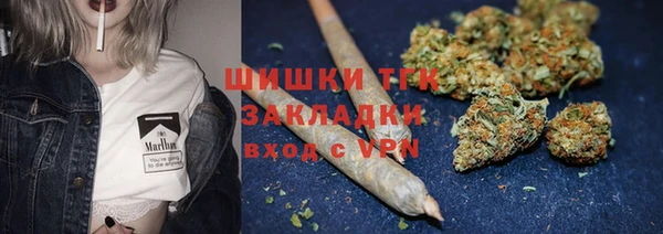 дживик Алапаевск