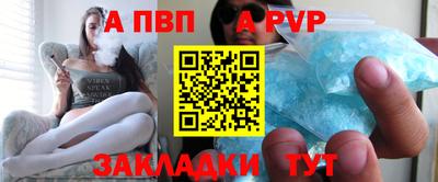 спиды Кингисепп