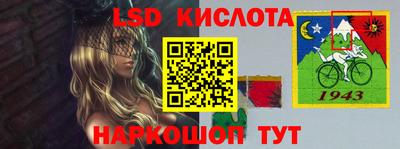 спиды Кингисепп