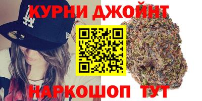 спиды Кингисепп