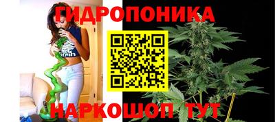 спиды Кингисепп