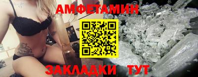 спиды Кингисепп