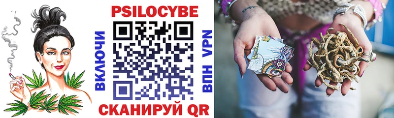 Купить где  Мурманск  Галлюциногенные грибы Psilocybe 