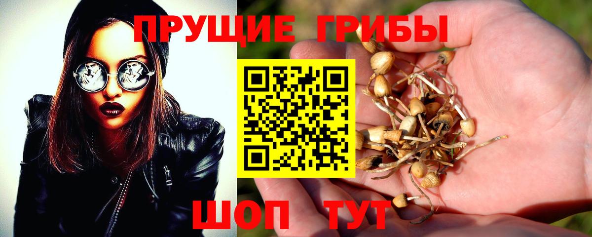 Псилоцибиновые грибы ЛСД Мурманск