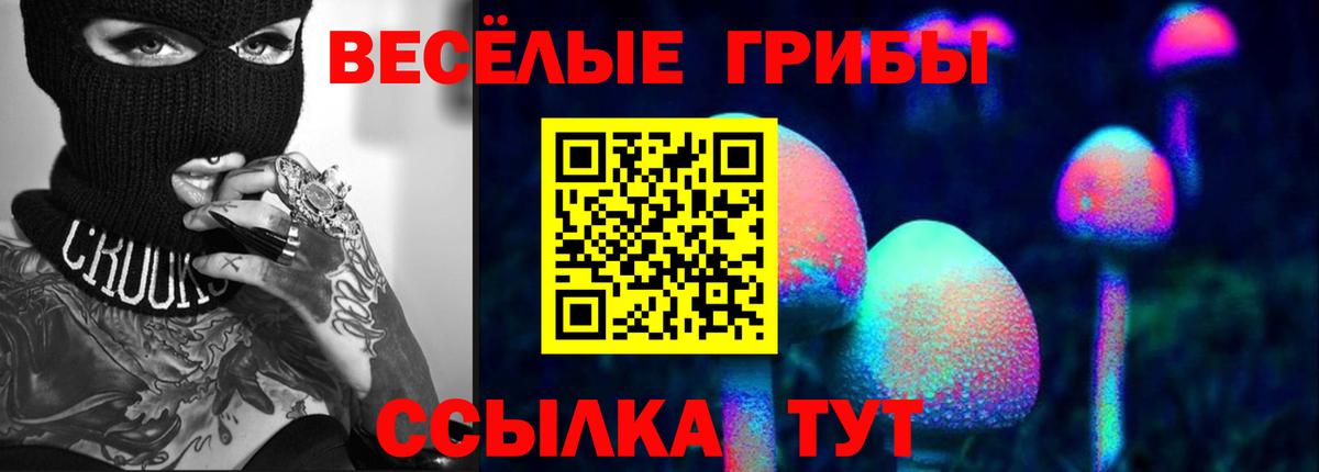 Галлюциногенные грибы мухоморы Мурманск